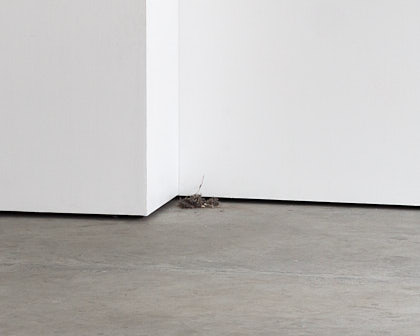 Image-Acte n°9: « Sweep the exhibition space and leave the collected remains »